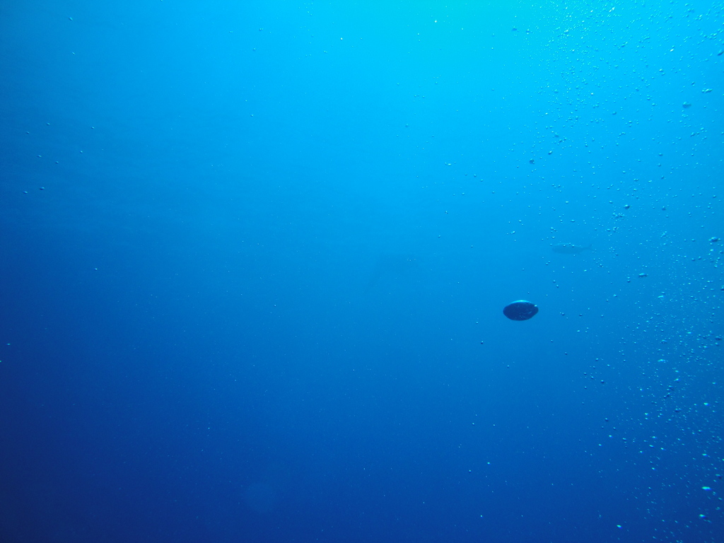 DSC00095.JPG
