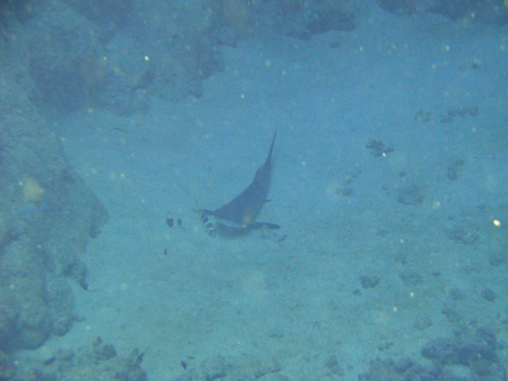 DSC00114.JPG
