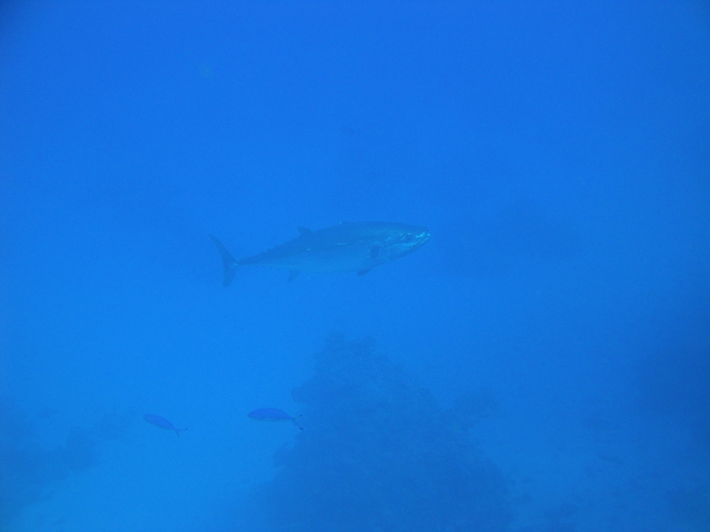 DSC00140.JPG
