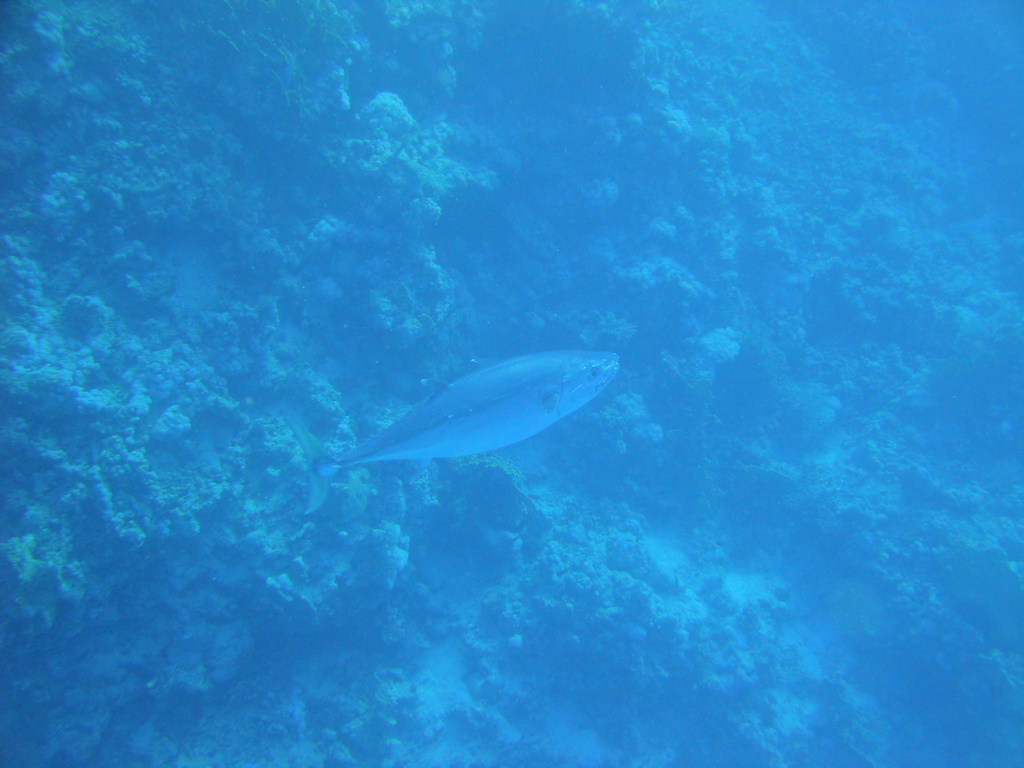 DSC00143.JPG