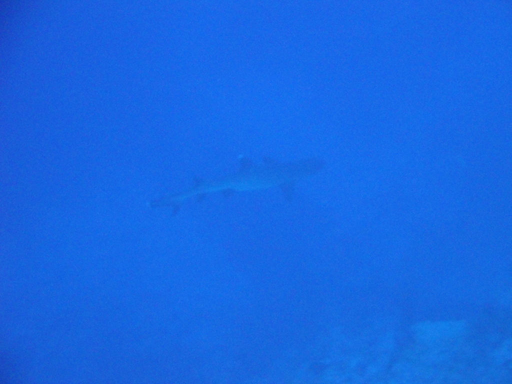 DSC00157.JPG