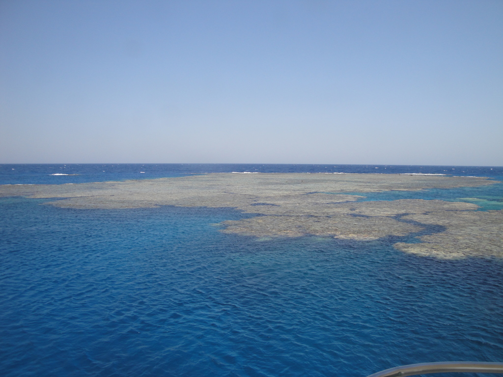 DSC00164.JPG