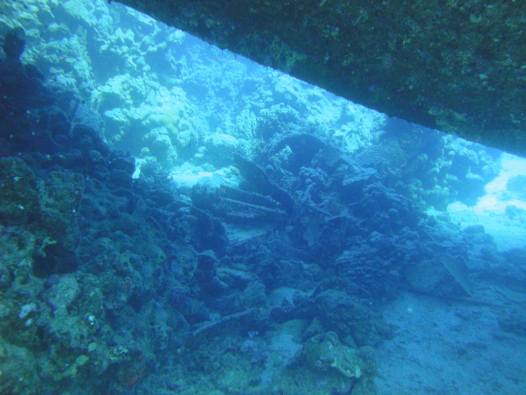 DSC00227.JPG