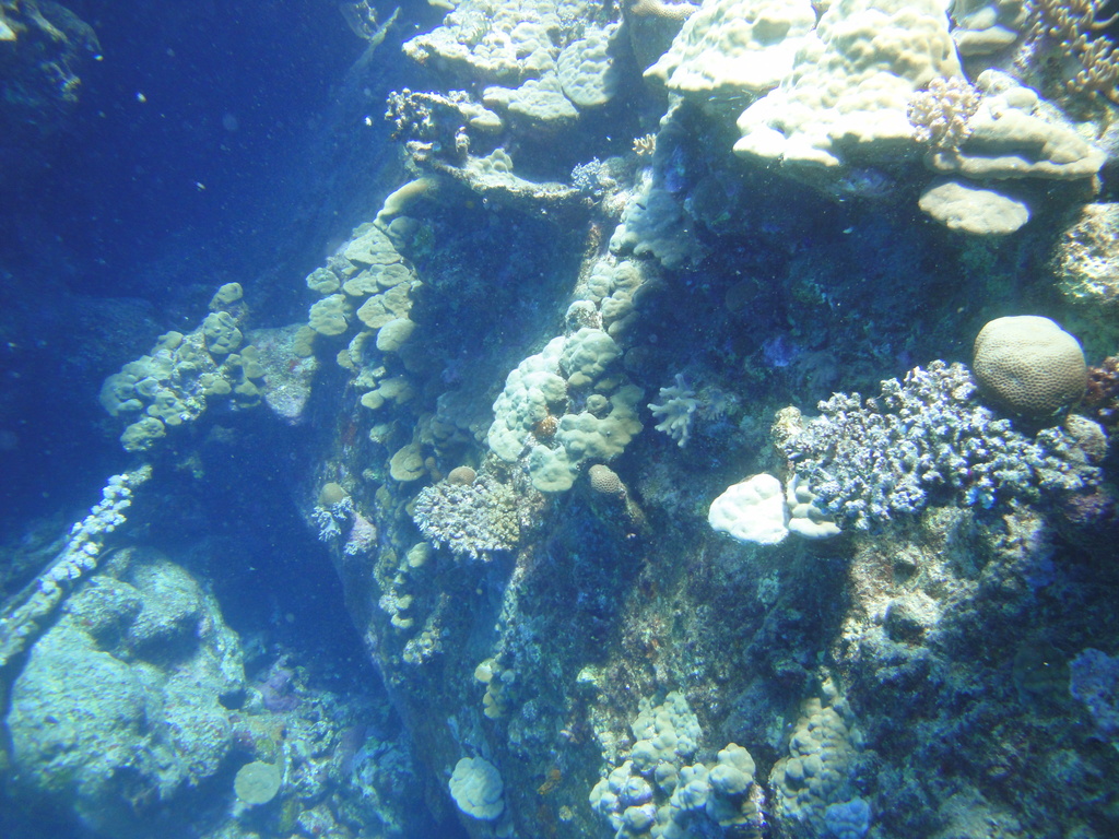DSC00257.JPG