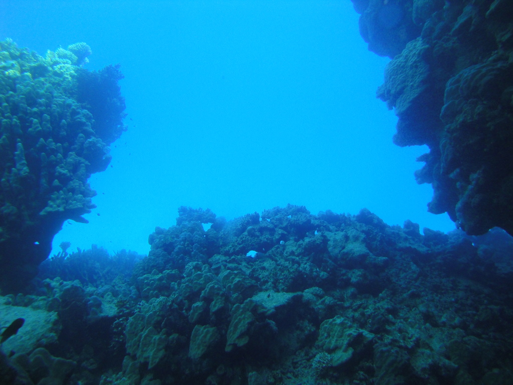 DSC00266.JPG