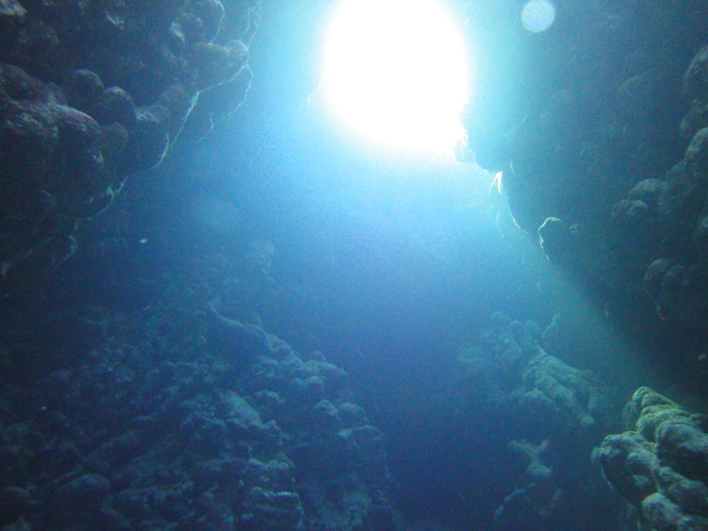 DSC00314.JPG