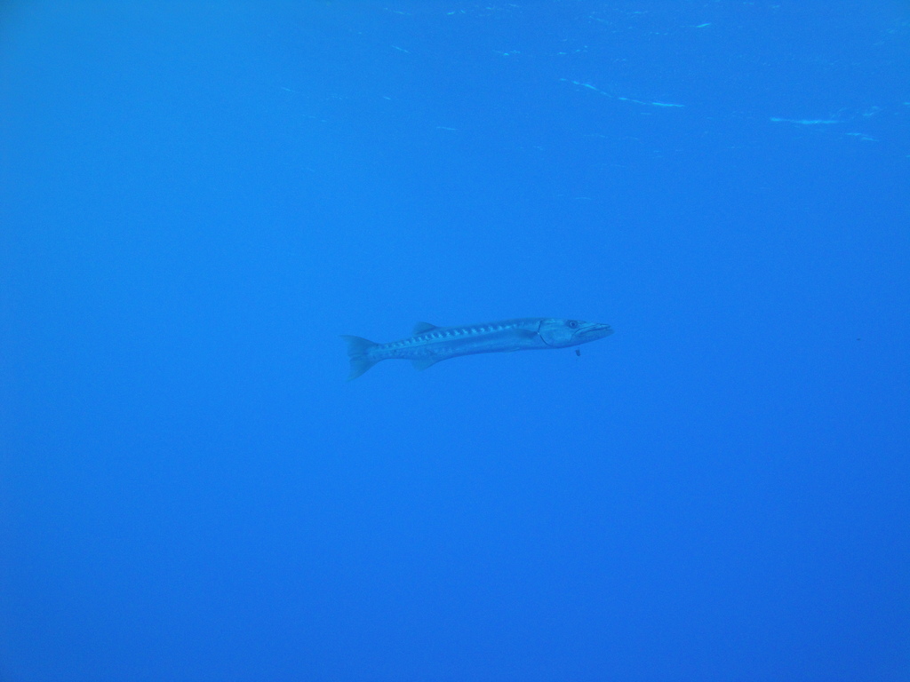 DSC00360.JPG
