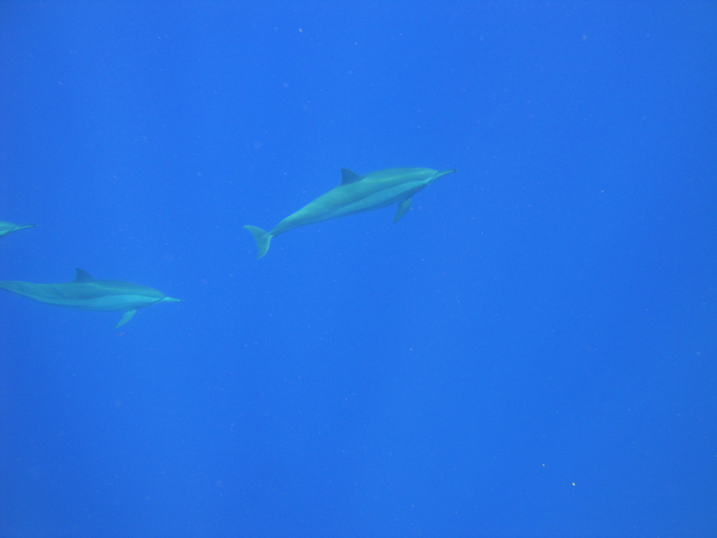 DSC00365.JPG