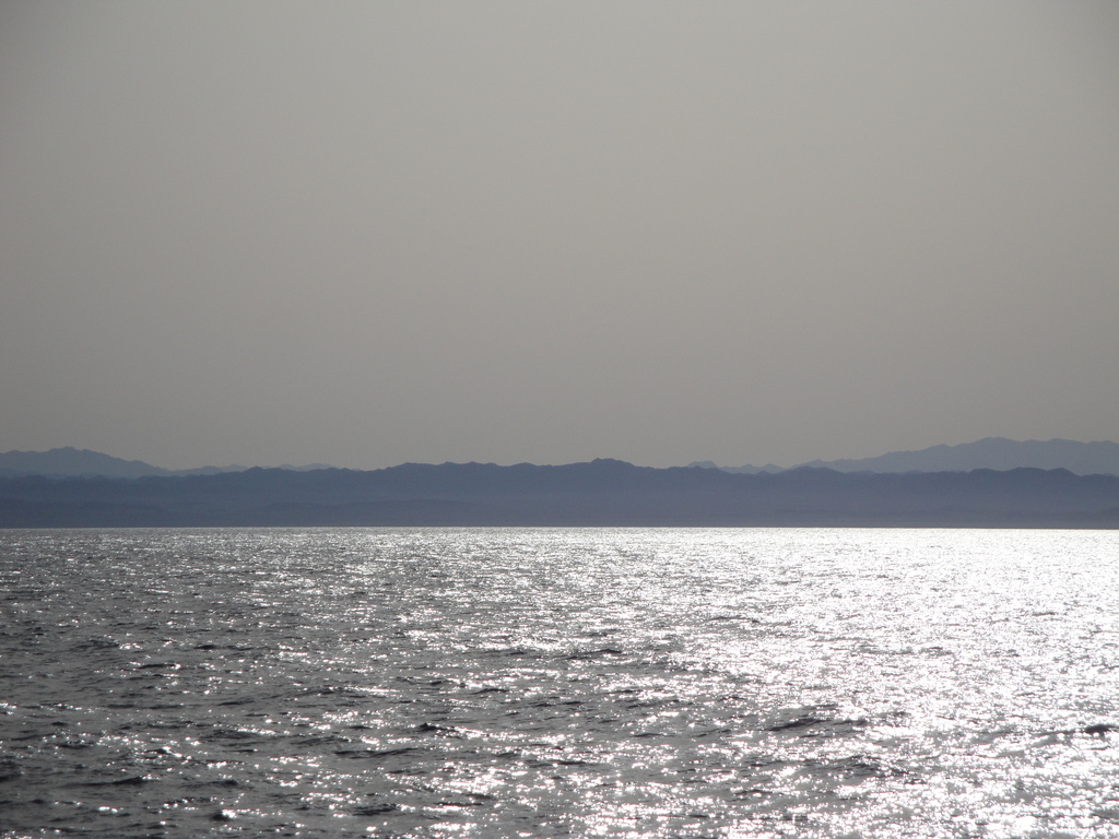 DSC00376.JPG