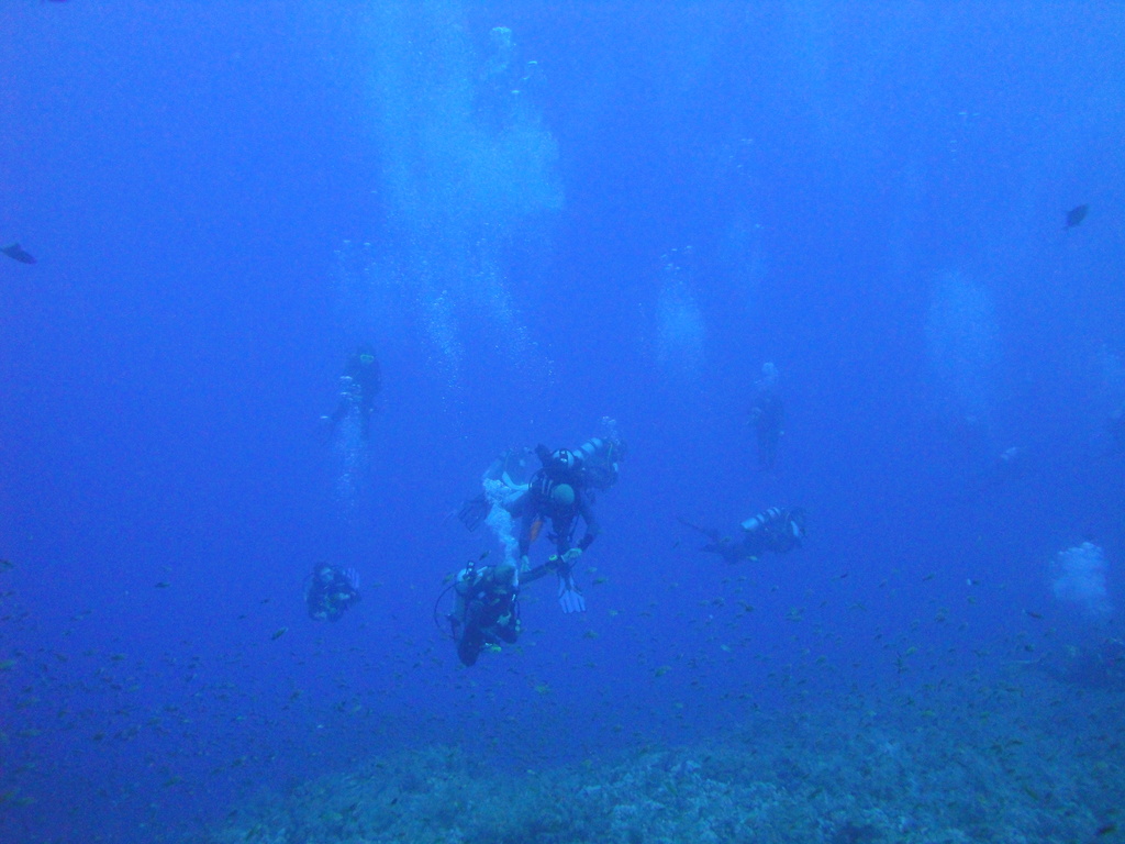 DSC00388.JPG