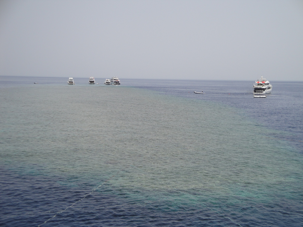 DSC00408.JPG