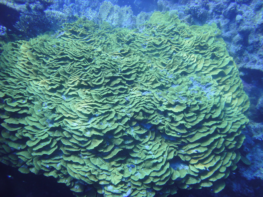 DSC00425.JPG