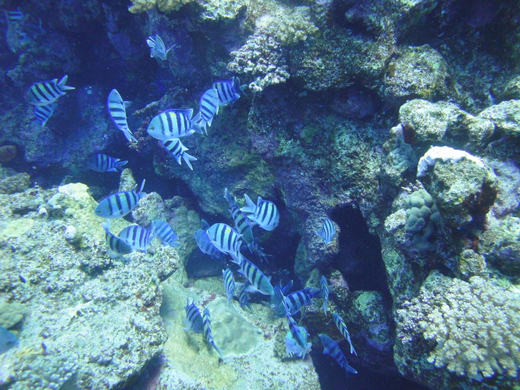 DSC00428.JPG