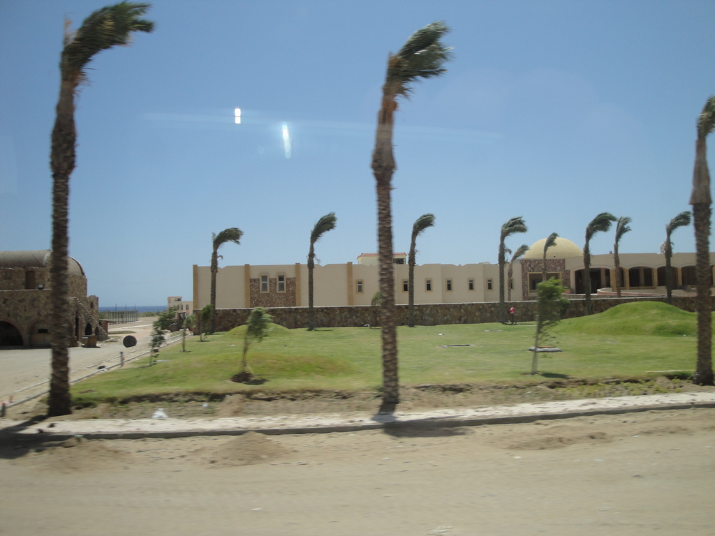 DSC00465.JPG