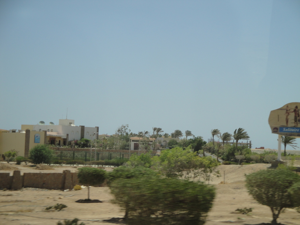 DSC00467.JPG