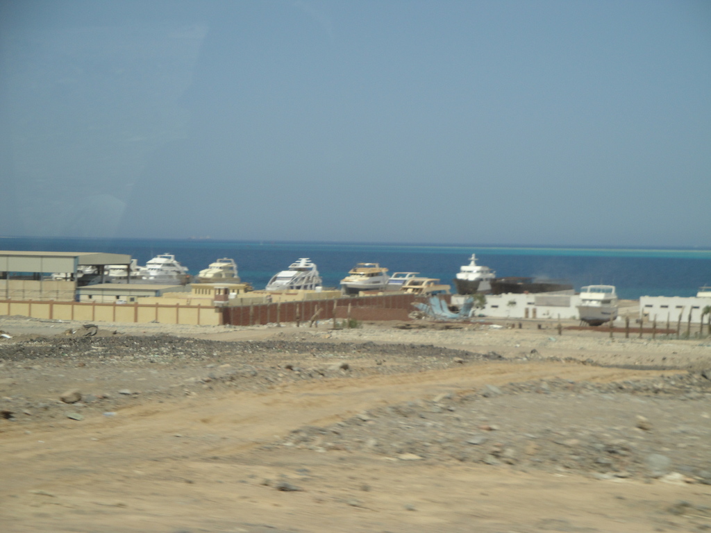DSC00483.JPG