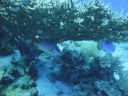 DSC00018.JPG