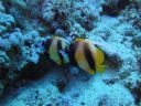DSC00042.JPG