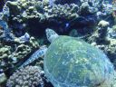 DSC00052.JPG