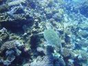 DSC00053.JPG