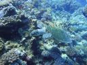 DSC00054.JPG