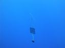 DSC00057.JPG