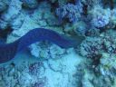 DSC00060.JPG