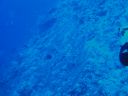 DSC00078.JPG