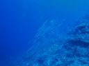DSC00080.JPG