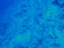 DSC00082.JPG