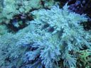 DSC00083.JPG