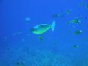 DSC00084.JPG