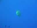 DSC00088.JPG