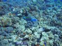 DSC00092.JPG