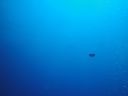 DSC00095.JPG