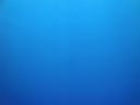 DSC00096.JPG
