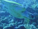 DSC00098.JPG