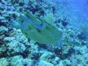 DSC00099.JPG