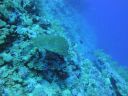 DSC00100.JPG