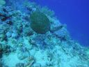 DSC00101.JPG