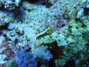 DSC00104.JPG