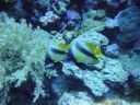 DSC00105.JPG