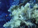 DSC00110.JPG
