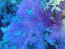DSC00111.JPG