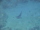 DSC00114.JPG