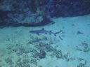DSC00116.JPG