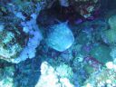 DSC00123.JPG
