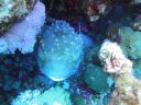 DSC00124.JPG