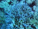 DSC00125.JPG
