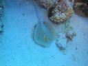 DSC00126.JPG